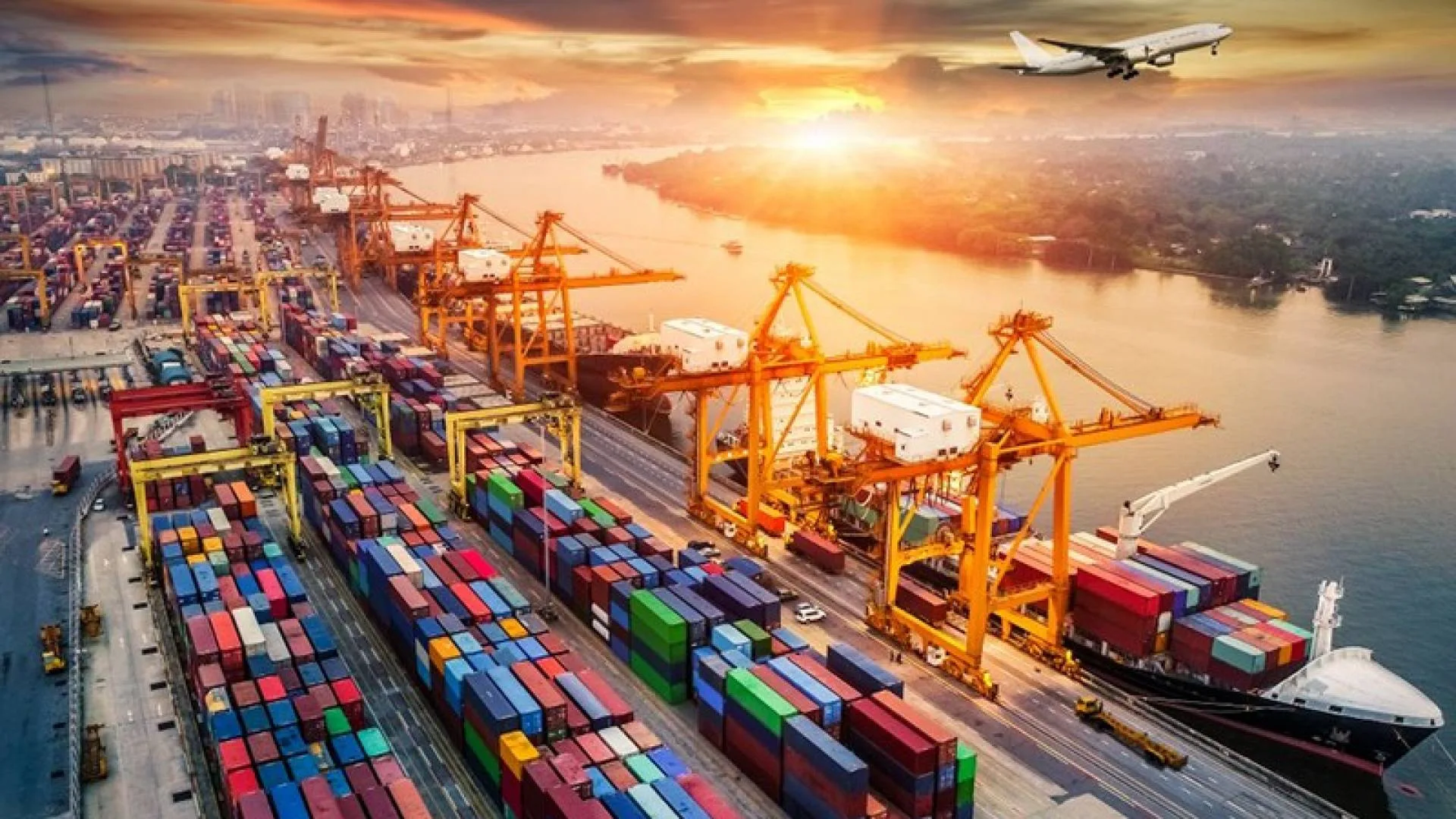 chiphilogistics 1