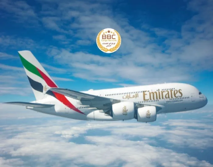 Air Freight from Dubai to Iraq 1 Shipping from Dubai to Erbil - Kurdistan